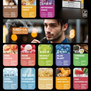 MEHA魅嗨一代通用煙彈（買10送1主機）-A/B