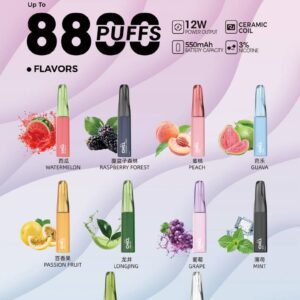 CHILL 拋棄式8800口｜8ml大容量（買10送1）-D