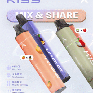 KISS凱斯 6500口拋棄式 正品現貨（買10送1）-A/B