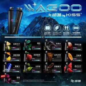 KIS5 WAGOO哇酷🌈磁吸拋棄式 6500口 (買 10 送 1)- A